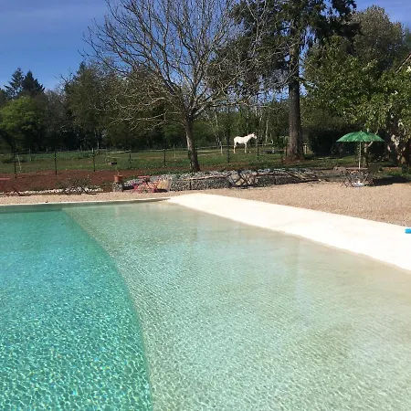 Ecuries De Saint Maurice- De Gondou 住宿加早餐酒店 4*