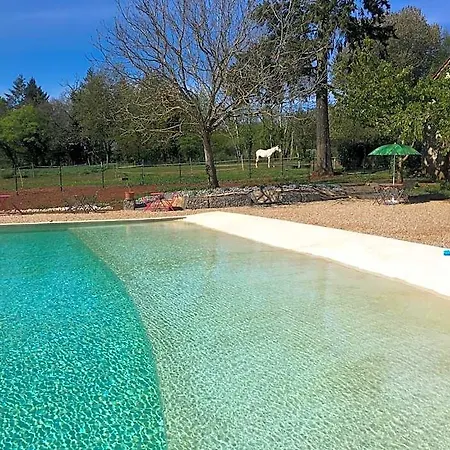 Ecuries De Saint Maurice- De Gondou
